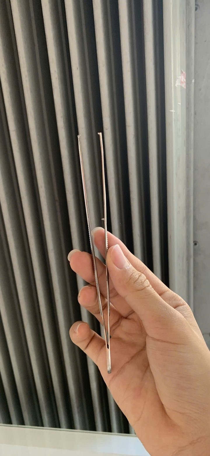 Kẹp phẫu tích inox (nhíp y tế) có mấu / không mấu – nhiều cỡ