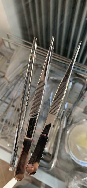 Kẹp phẫu tích inox (nhíp y tế) có mấu / không mấu – nhiều cỡ